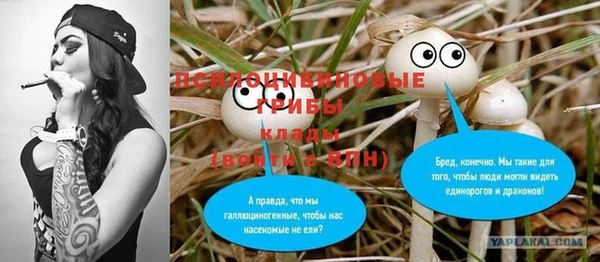 дживик Зерноград